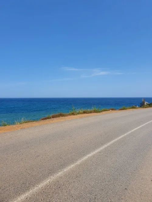 Vente Terrain Tipaza Tipaza