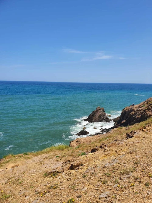 Vente Terrain Tipaza Tipaza