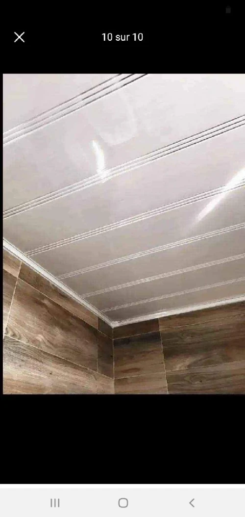 Travis faux plafond pvc Et plako plat