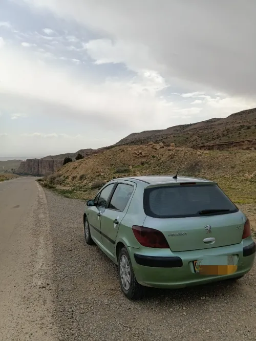 Peugeot 307 2003 307