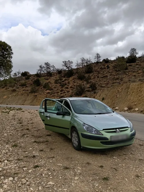 Peugeot 307 2003 307