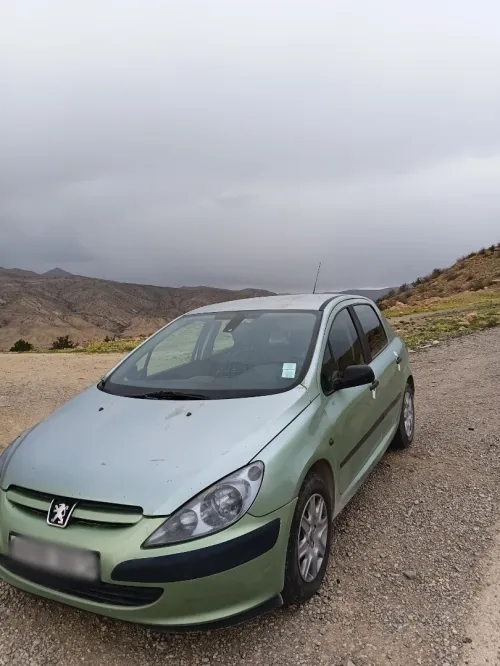 Peugeot 307 2003 307
