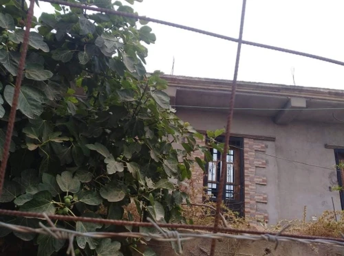 Vente Niveau De Villa F3 Boumerdes Souk el had