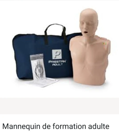 Mannequin de formation adulte