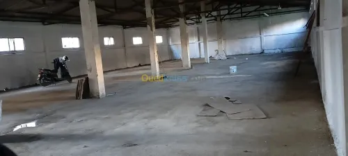 Location Hangar - Usine Alger Cheraga