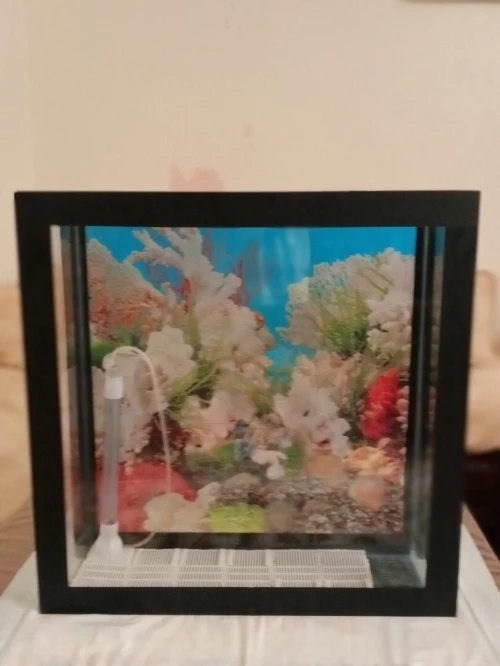 Aquarium de poisson 55,5cm  55,5cm