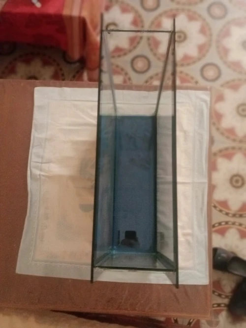 Aquarium de poisson 55,5cm  55,5cm