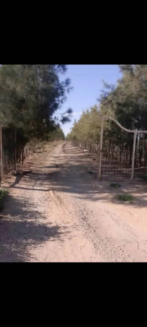 Vente Terrain Agricole Tiaret Mahdia