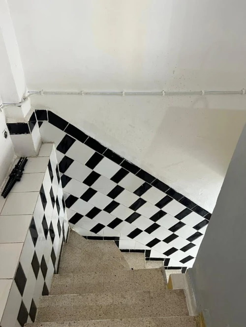 Location Appartement Niveau de villa Studio Blida Blida