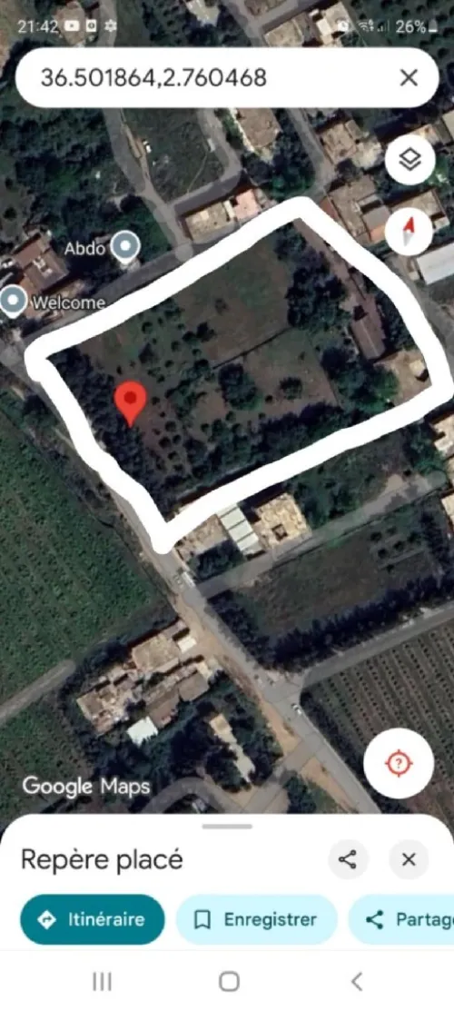 Vente Terrain Blida Blida