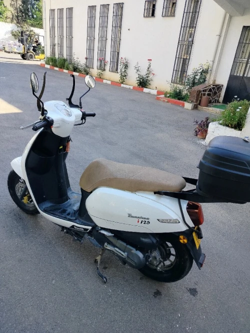 Benelli Panarea 2023