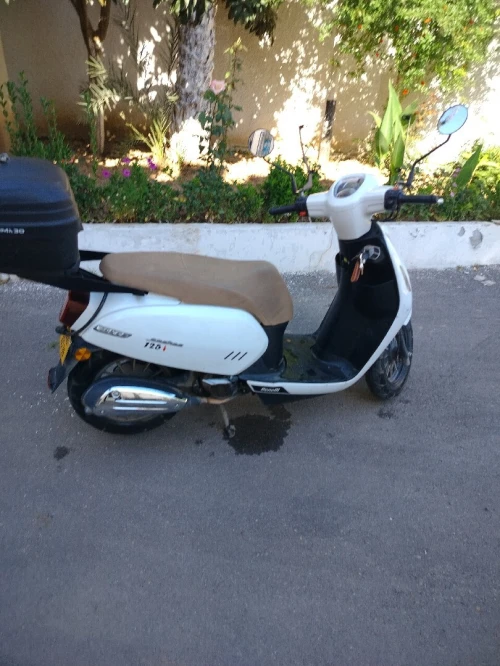 Benelli Panarea 2023