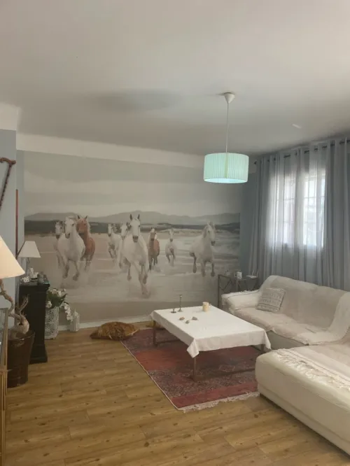 Location Appartement F4 Alger Hydra