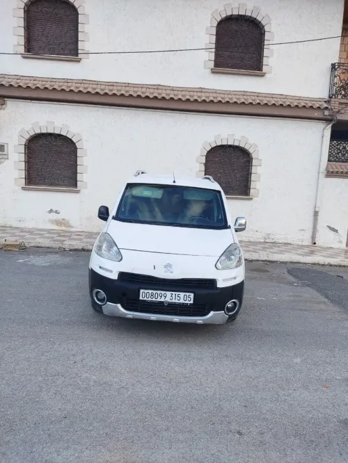 Peugeot Partner 2015 Partner
