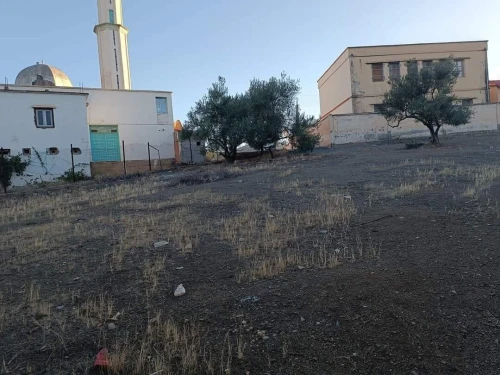 Vente Terrain Bouira El adjiba