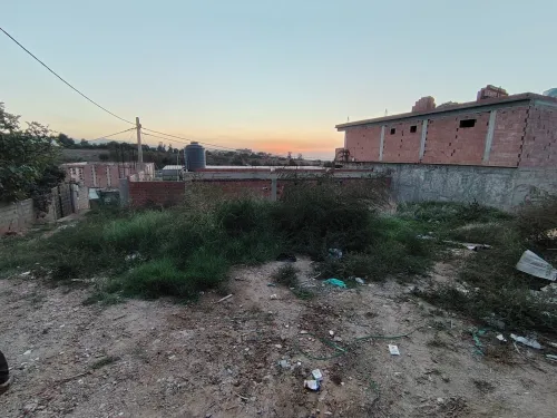 Vente Terrain Boumerdès Ouled moussa