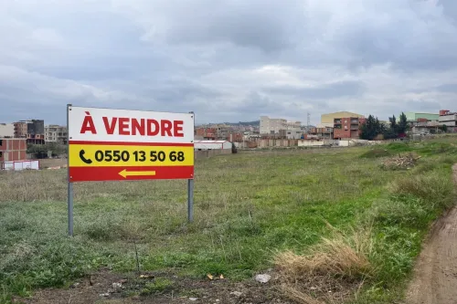 Vente Terrain Boumerdès Ouled moussa