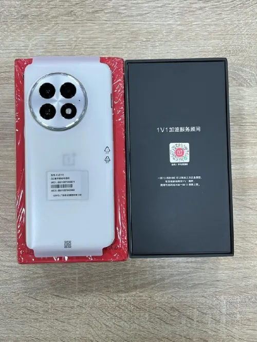 Oneplus 13