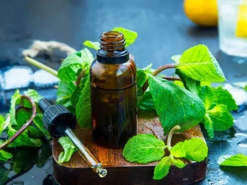 Huile de Menthe 100% naturel 30ml