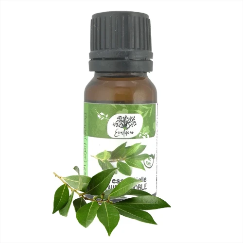 Huile Essentielle de Laurier Noble Pure et 100% naturel Sans Additifs 10ml