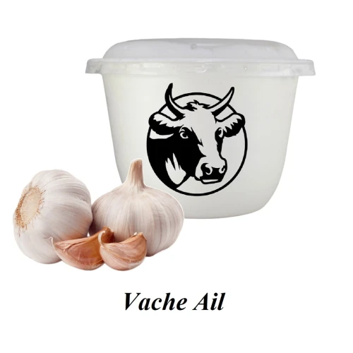 Fromage à tartiner à base de lait de vache à l'Ail