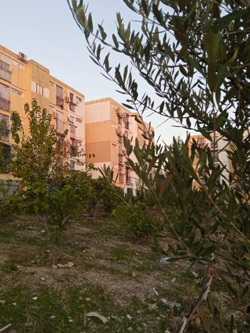 Vente Appartement F3 Constantine El khroub
