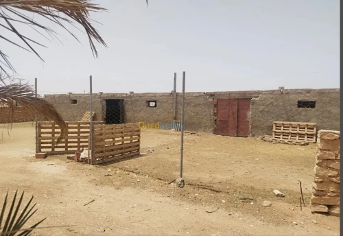 Vente Terrain Agricole Biskra Ourlala