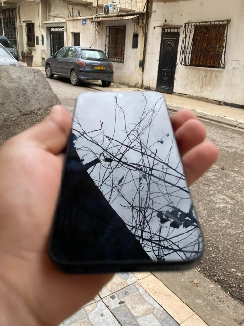 Honor X6c