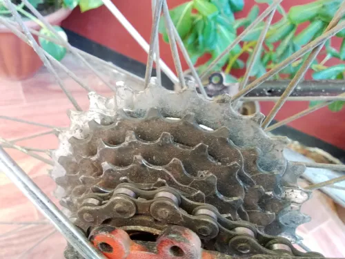 Vélo Shimano VTT Original