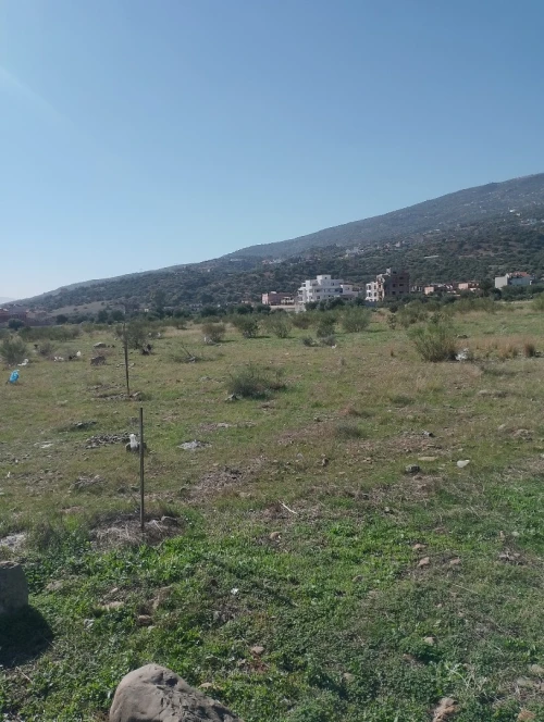Vente Terrain Béjaïa Akbou
