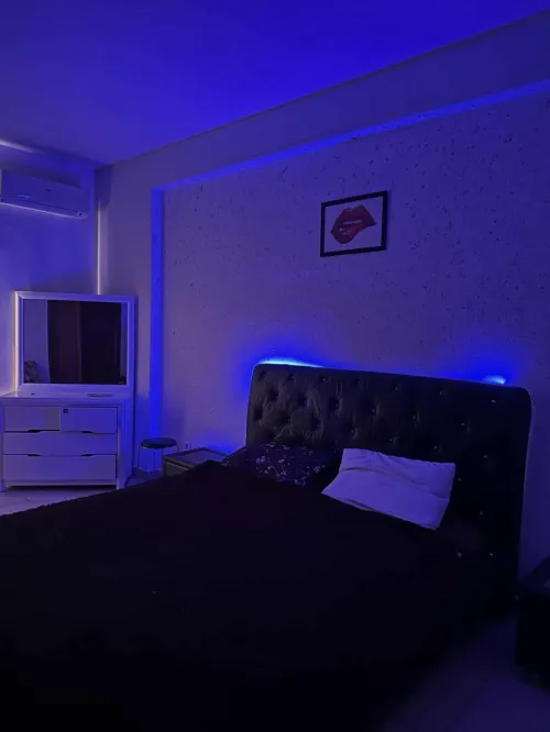 Location Appartement Studio F2 F3 Alger Staoueli
