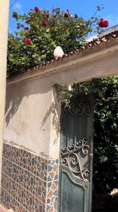 Vente Villa Mostaganem Mostaganem