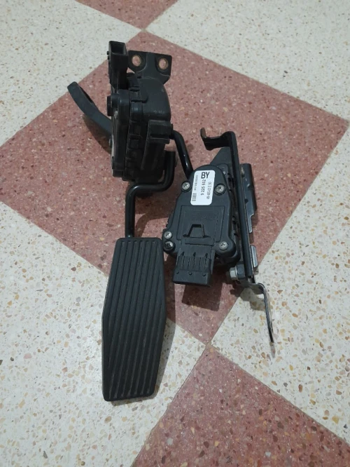 تيارت