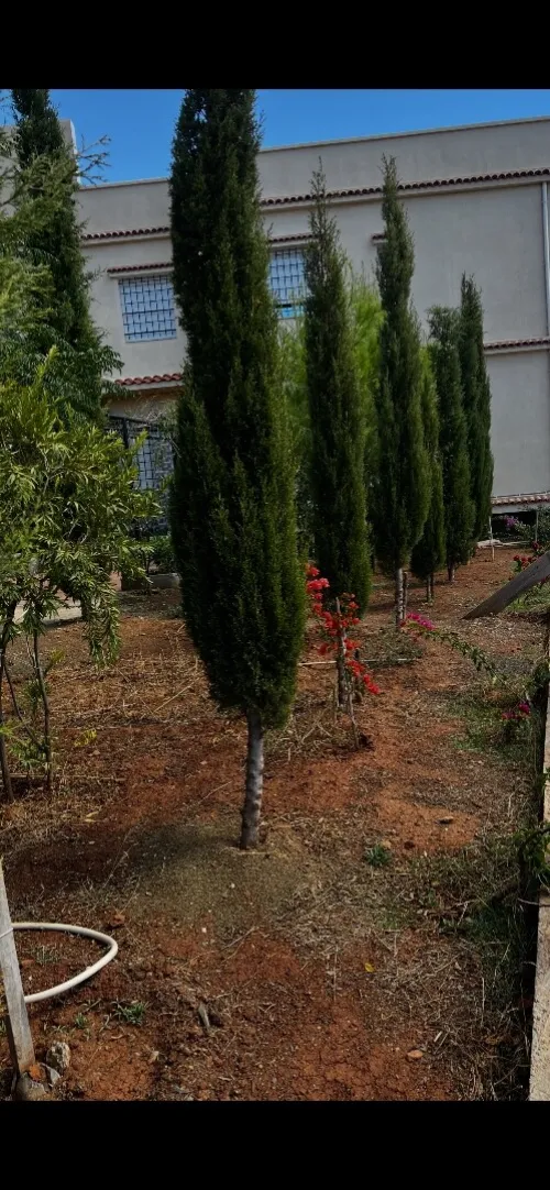 Vente Villa Sétif Beni ouartilene