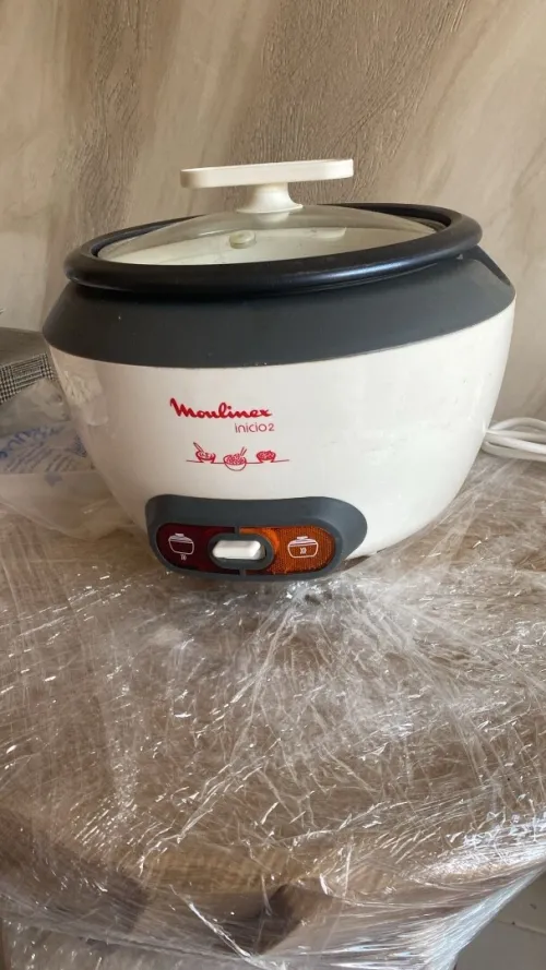 Cuiseur de riz vapeur 