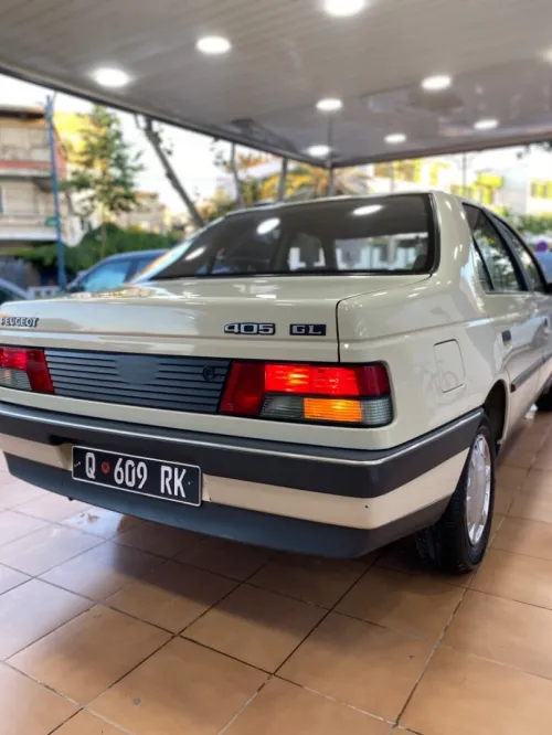 Peugeot 405 1989 Gr