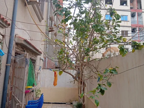 Vente Villa Tlemcen Marsa ben mhidi