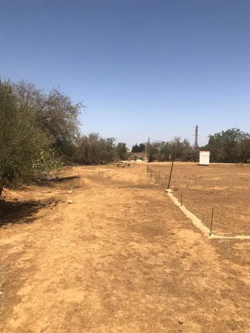 Vente Terrain Tlemcen Mansourah