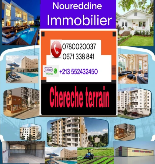 Cherche achat Terrain Agricole Djelfa Djelfa