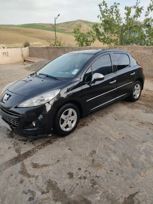Peugeot 207 2011 207