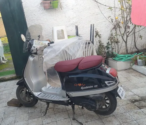 Okinoi Vectoria 2019
