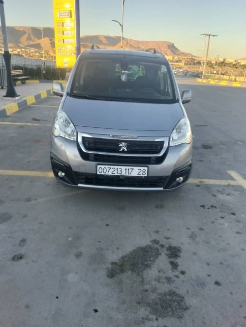 Peugeot Tepe 2017 