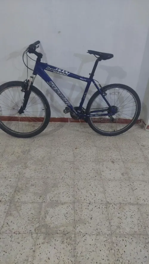 Velo