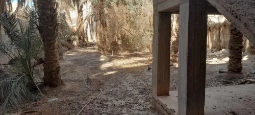 Vente Villa Biskra Biskra