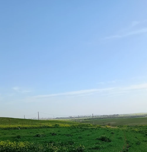Vente Terrain Agricole Sidi Bel Abbès Ain thrid