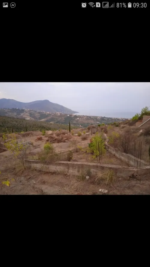 Vente Terrain Tizi Ouzou Azeffoun