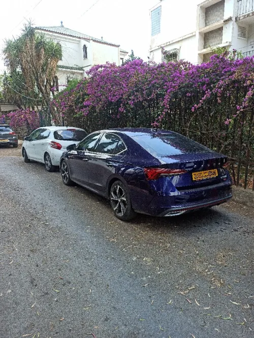 Skoda Octavia 2022 Pro