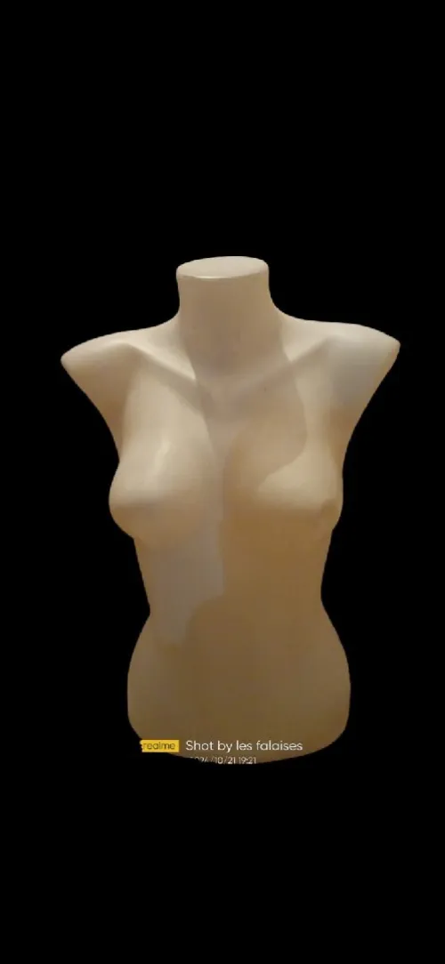 Manquin 