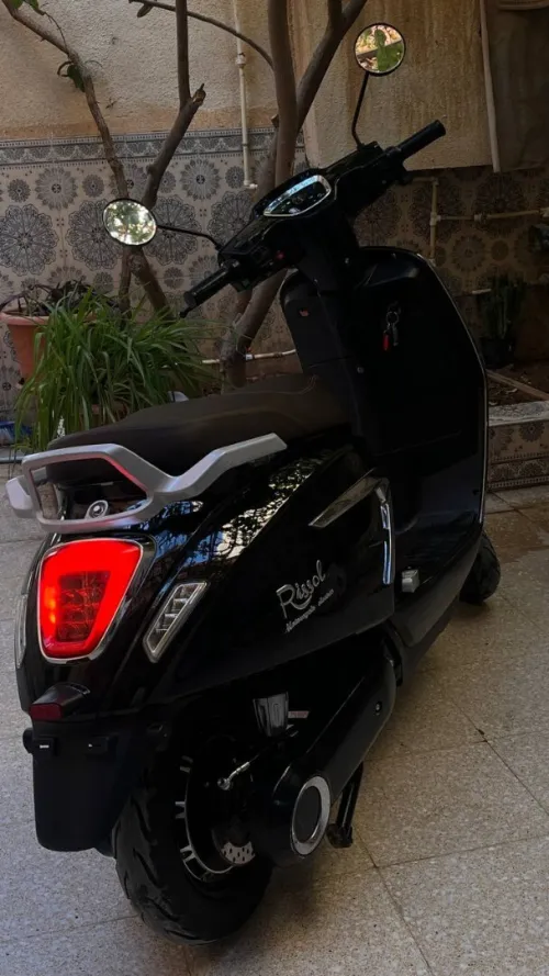 rissol orizon 2024