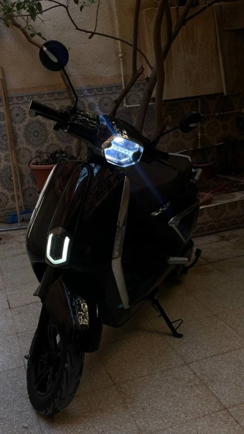 rissol orizon 2024